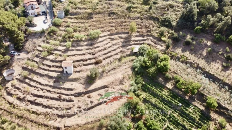 Terrain à bâtir à Soldano