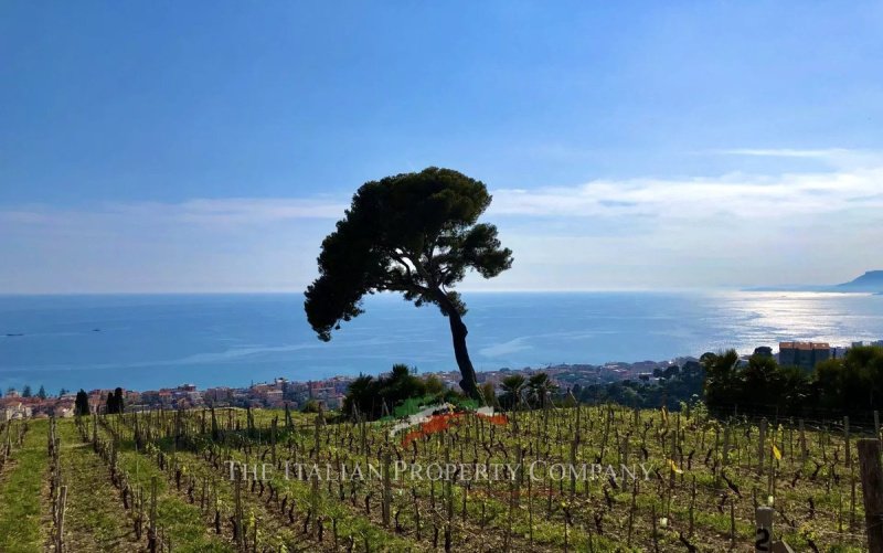 Terreno edificabile a Bordighera