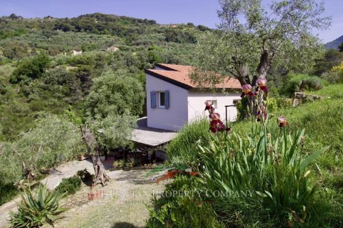 Moradia em Vallebona