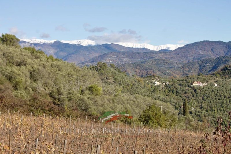 Bauland in Perinaldo