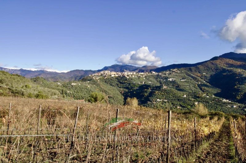 Building plot for sale in Perinaldo [802079] | Gate-away®