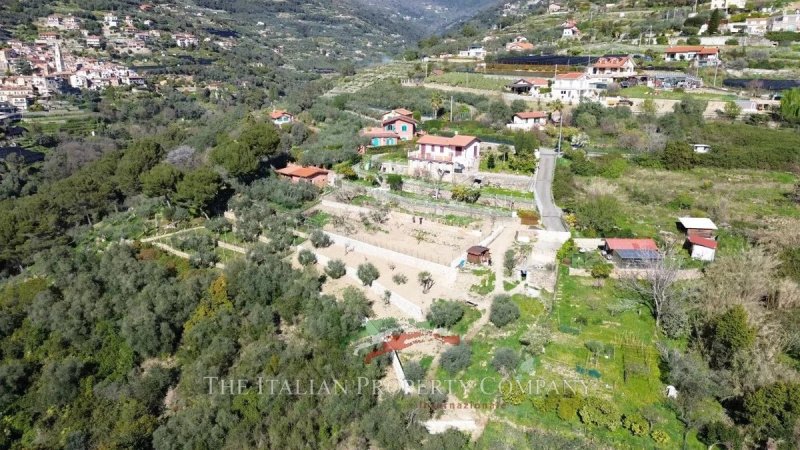 Terrain à bâtir à Vallebona