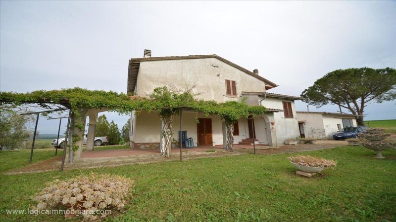 Farm in Scansano