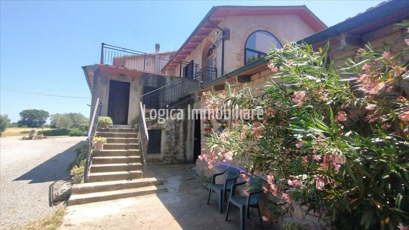 Lantställe i Sarteano