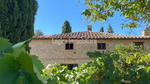 Lantställe i Perugia