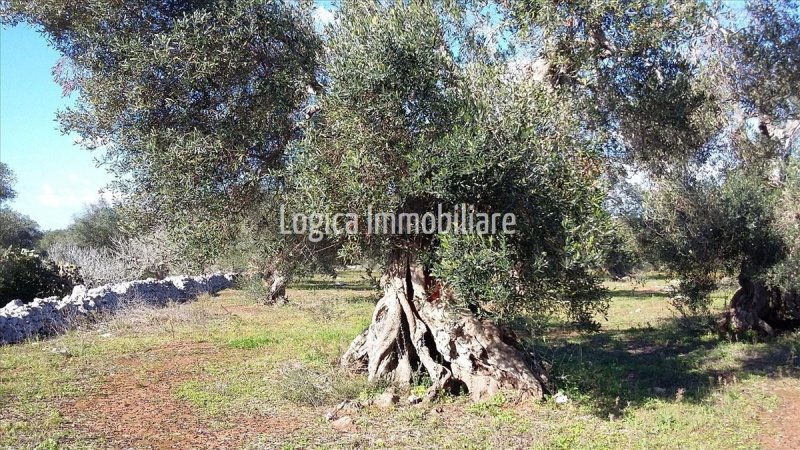 Lantgård i Morciano di Leuca