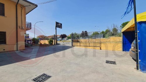 Commercial property in Frosinone