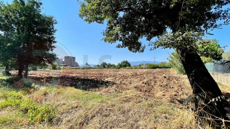 Terreno edificable en Castrocielo