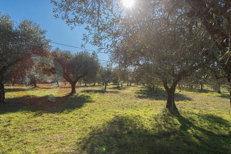 Сельский дом в Вероли