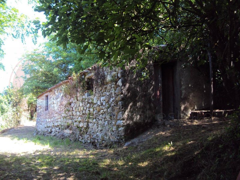 加里利亚诺河畔圣安布罗焦乡间房屋