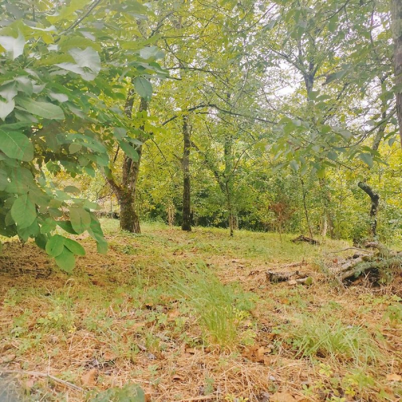 Bauland in Villafranca in Lunigiana