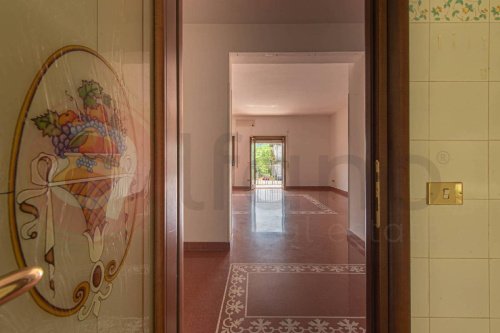 Wohnung in Arce