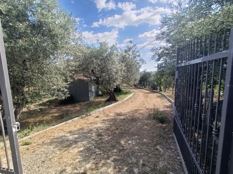 Country house in Loreto Aprutino