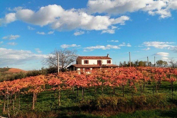 Hus på landet i Loreto Aprutino
