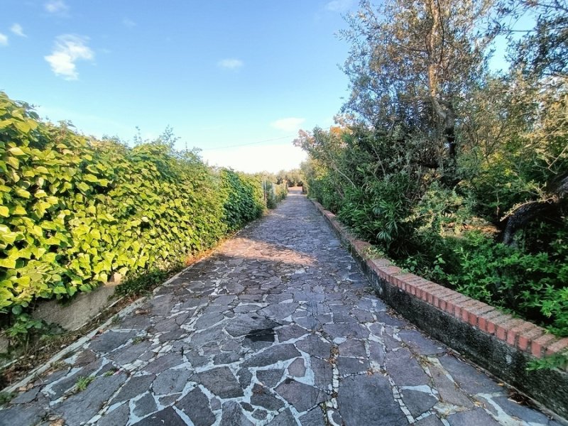 皮亚内拉乡间房屋