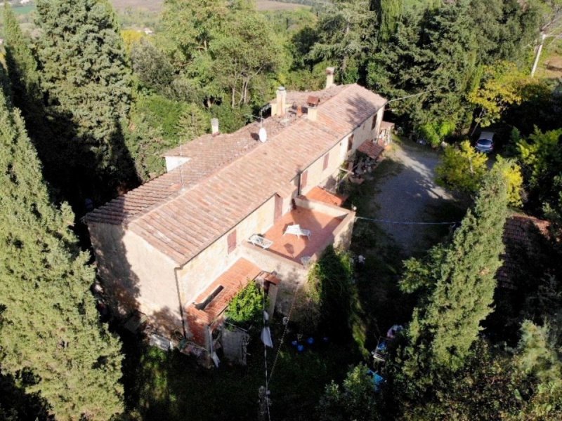 Klein huisje op het platteland in Montescudaio