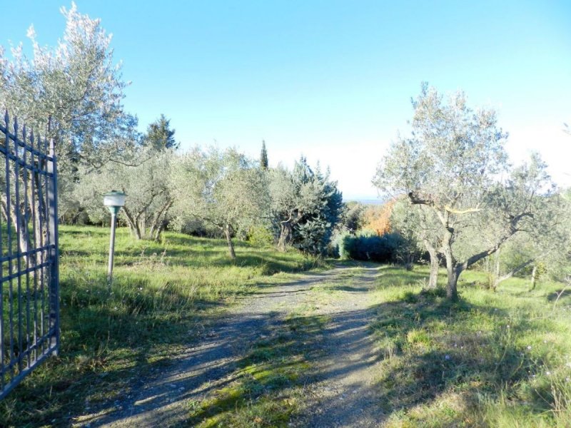Klein huisje op het platteland in Casale Marittimo