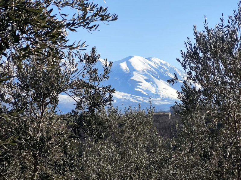 Terreno agrícola en Cugnoli