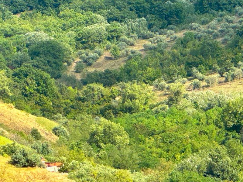 Terreno agrícola em Roccamontepiano