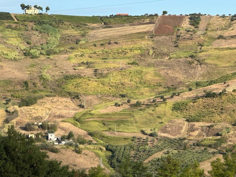 Terreno agrícola em Alanno