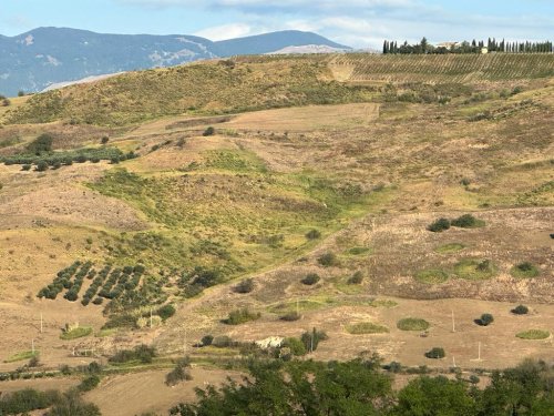 Agricultural land in Alanno