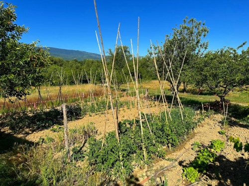 Casa de campo em San Martino sulla Marrucina