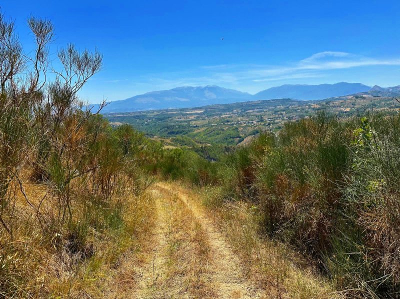 Lantställe i Civitella Casanova