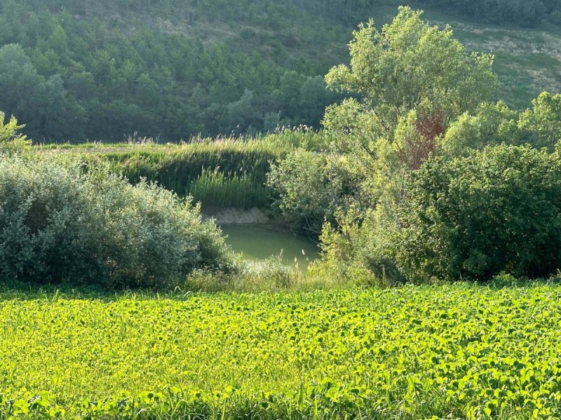 Huis op het platteland in Atri