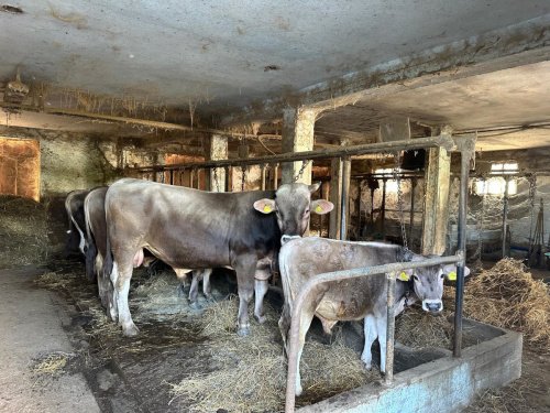 Huis op het platteland in Atri