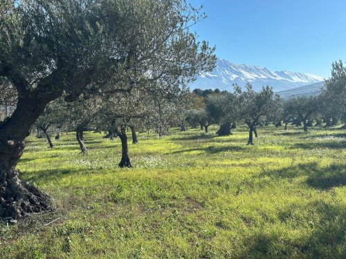 Terreno agrícola em Tocco da Casauria