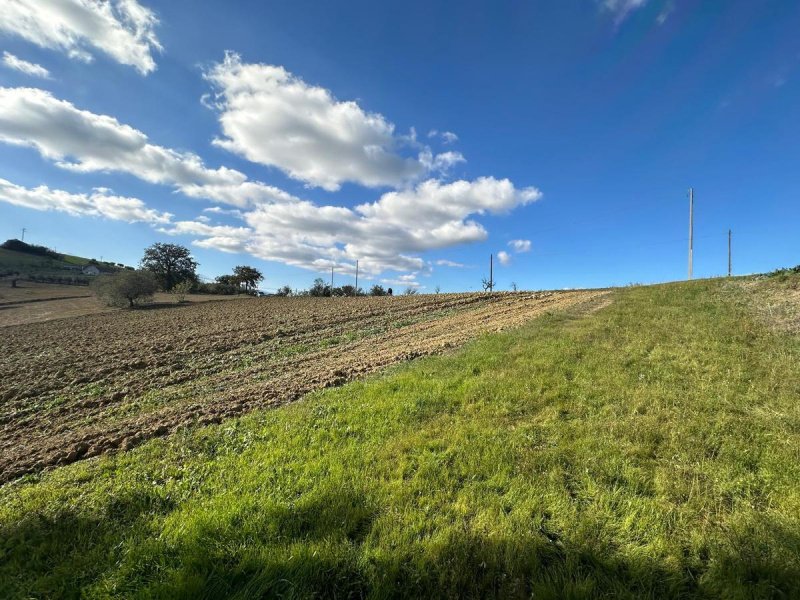 Terreno agricolo a Atri