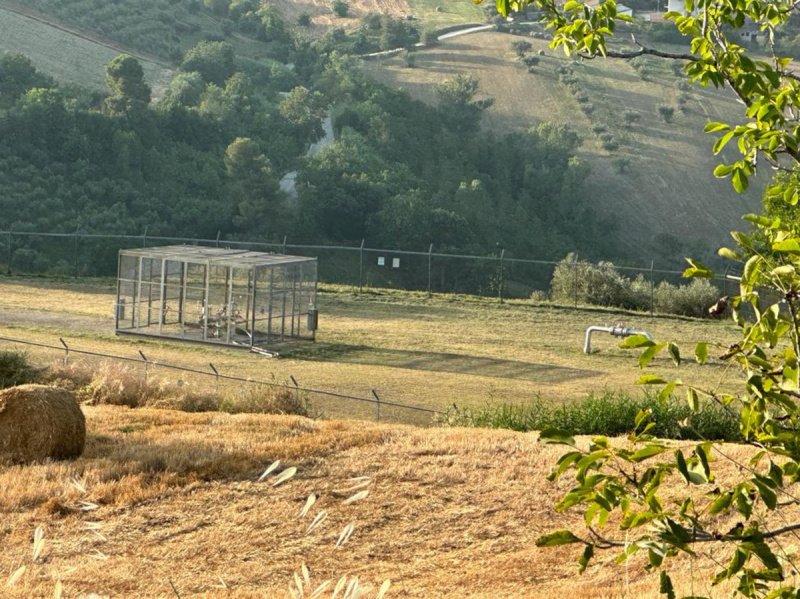 Landbouwgrond in Cellino Attanasio