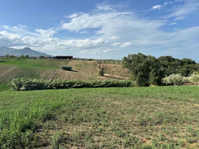 Участок земли в Чивитакуана