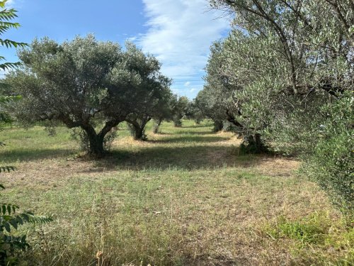 Участок земли в Чивитакуана