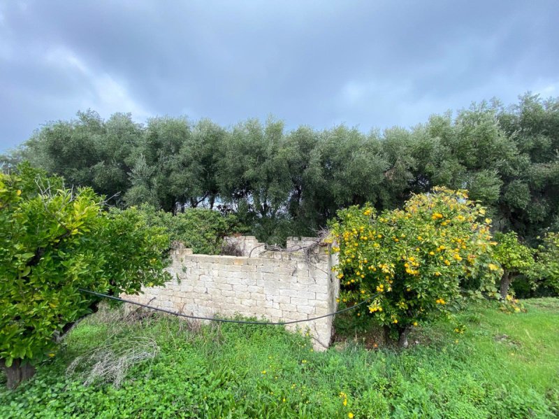 Ferme à Rodi Garganico