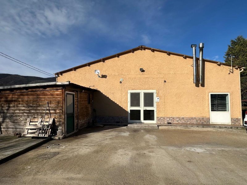 Inmueble comercial en Capestrano