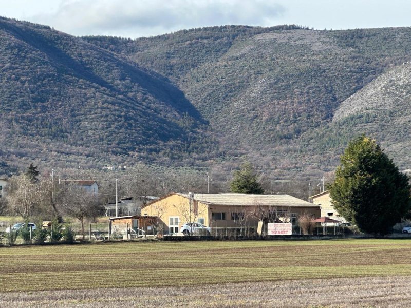 Inmueble comercial en Capestrano