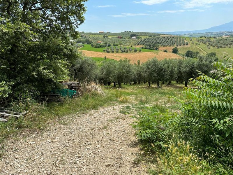 Lantställe i Pianella