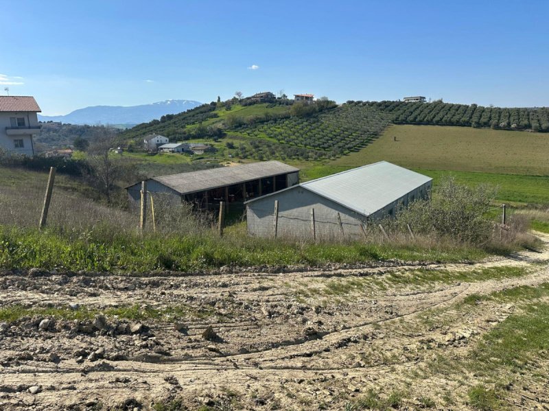 Farm in Manoppello