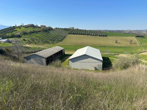 Farm in Manoppello