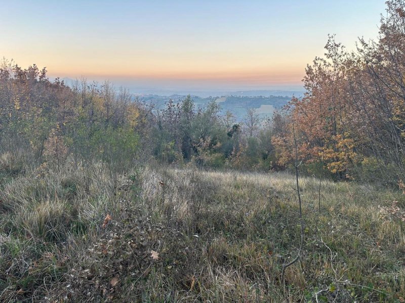 Terreno agricolo a Manoppello