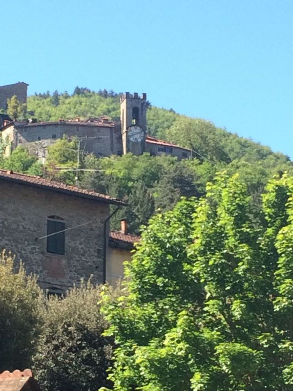 House in Castel San Niccolò