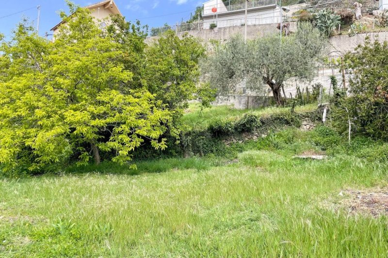 圣萨尔瓦托雷-迪菲塔利亚公寓