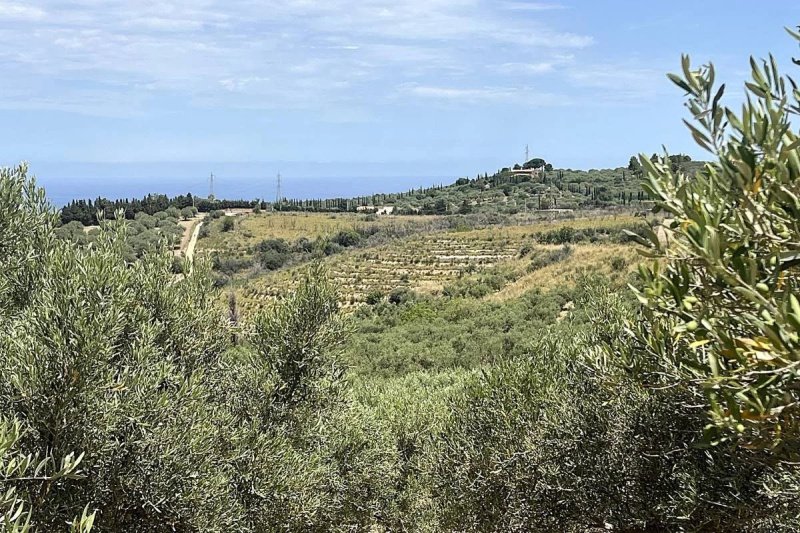 Building plot in Collesano