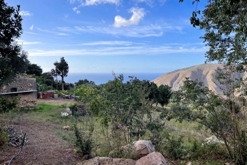 Landwirtschaftliche Fläche in Lascari