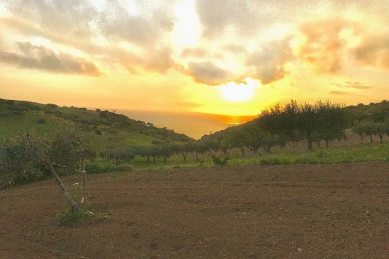 锡库利亚纳建筑用地