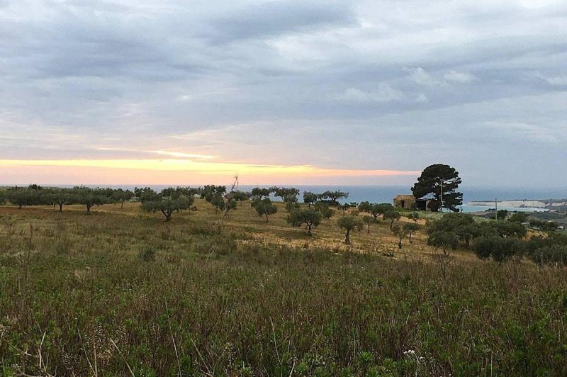 锡库利亚纳建筑用地