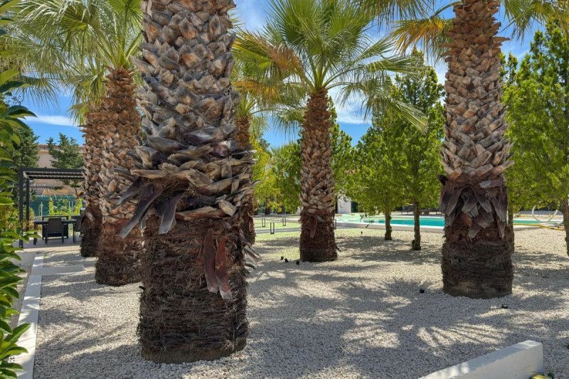 帕尔蒂尼科别墅