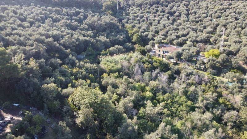 Terreno agricolo a Diano Marina