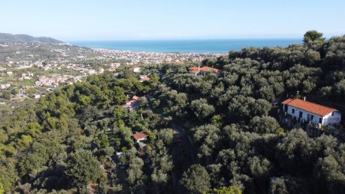 Terreno agricolo a Diano Marina
